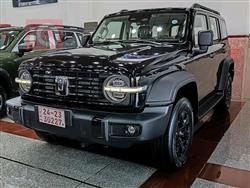 Great Wall 300